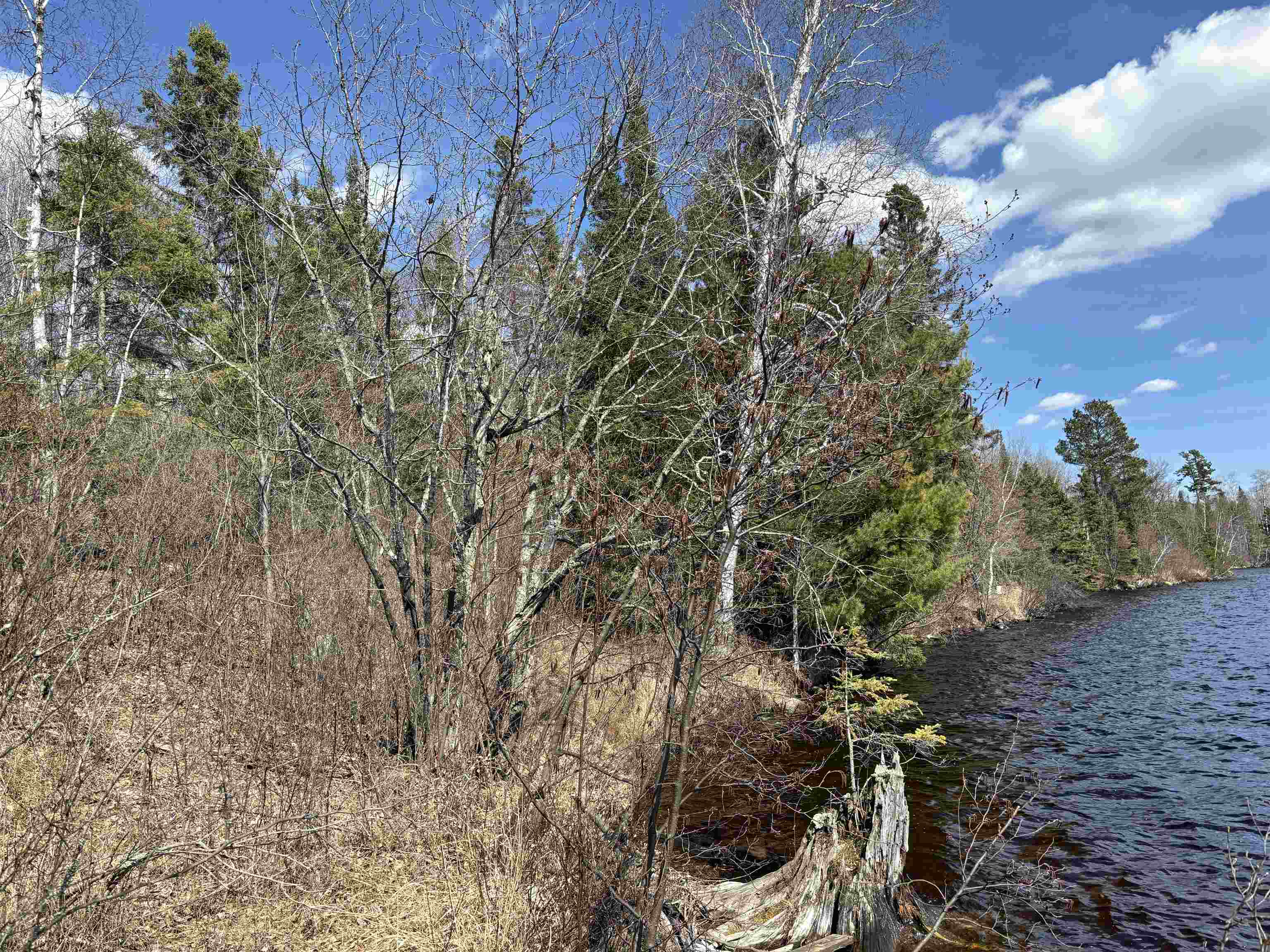 2 Fernberg Road Ely, MN 55731 - Photo 11 of 14