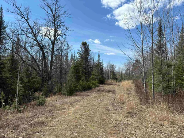 $275,000 | 2 Fernberg Road, Ely, MN 55731