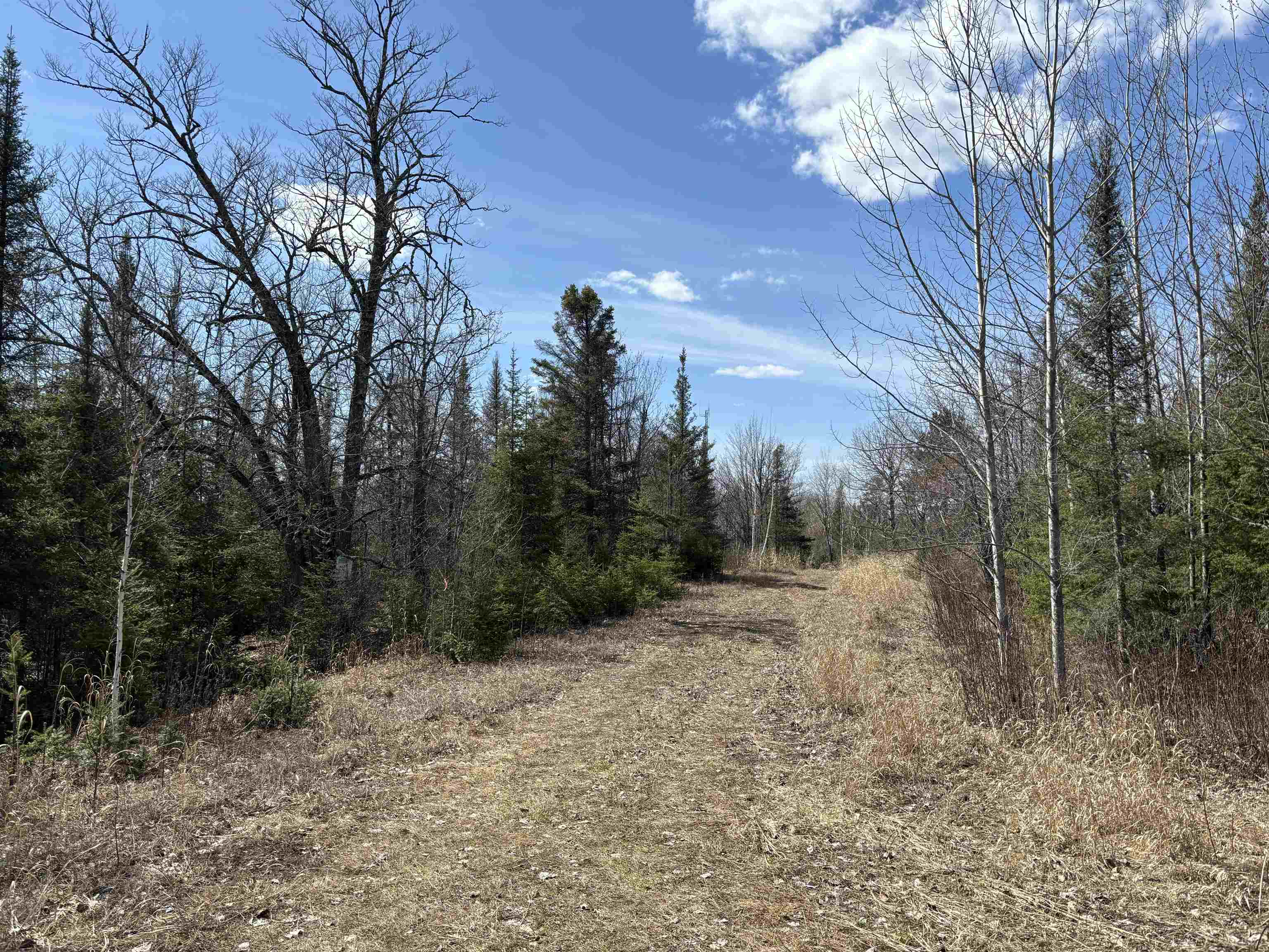 2 Fernberg Road Ely, MN 55731 - Photo 12 of 14