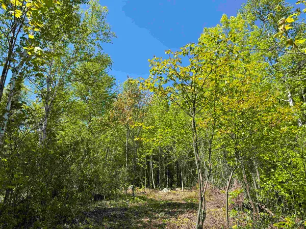 $275,000 | 2 Fernberg Road, Ely, MN 55731