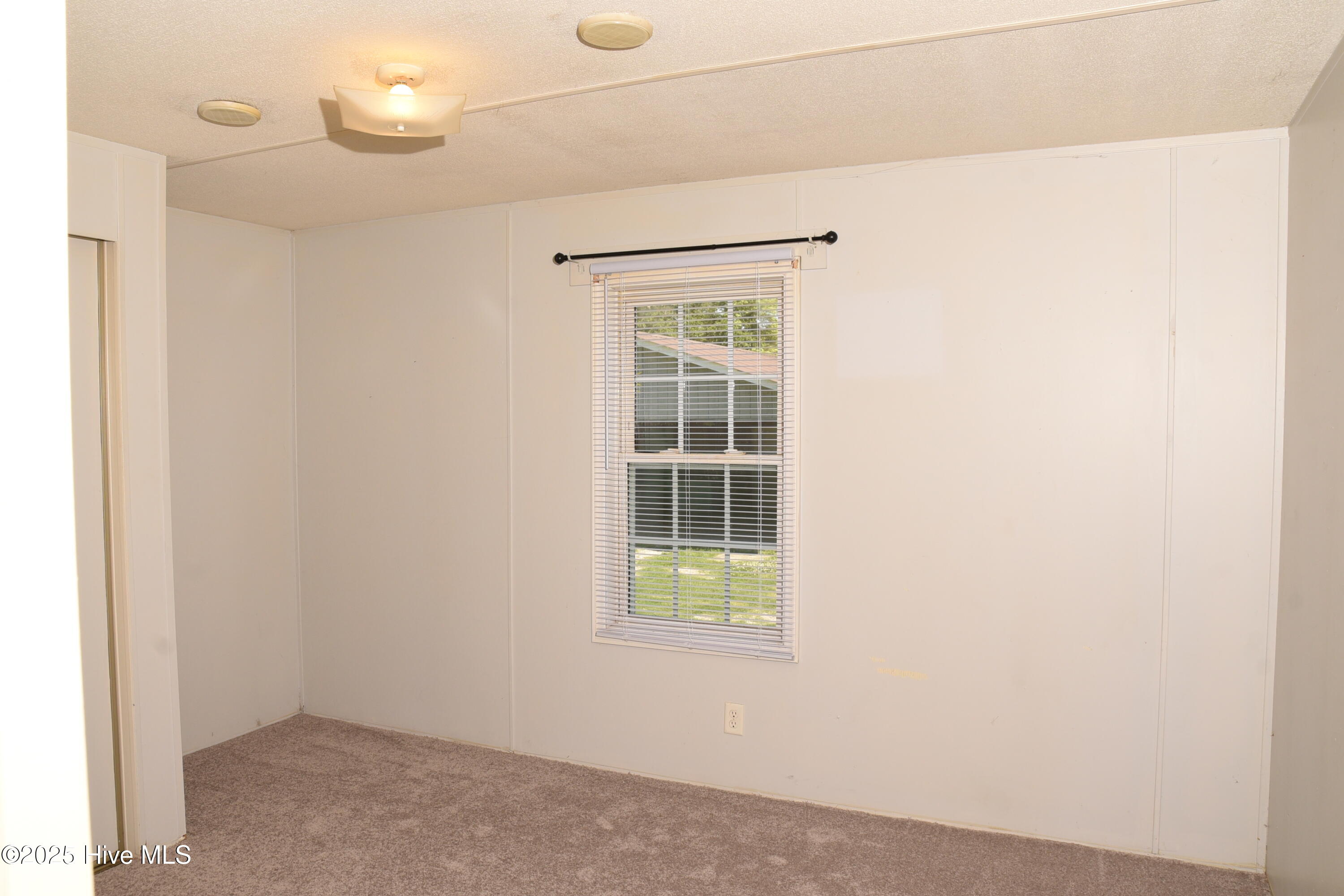 302 Bank Street Roper, NC 27970 - Photo 17 of 28 DSC_6350