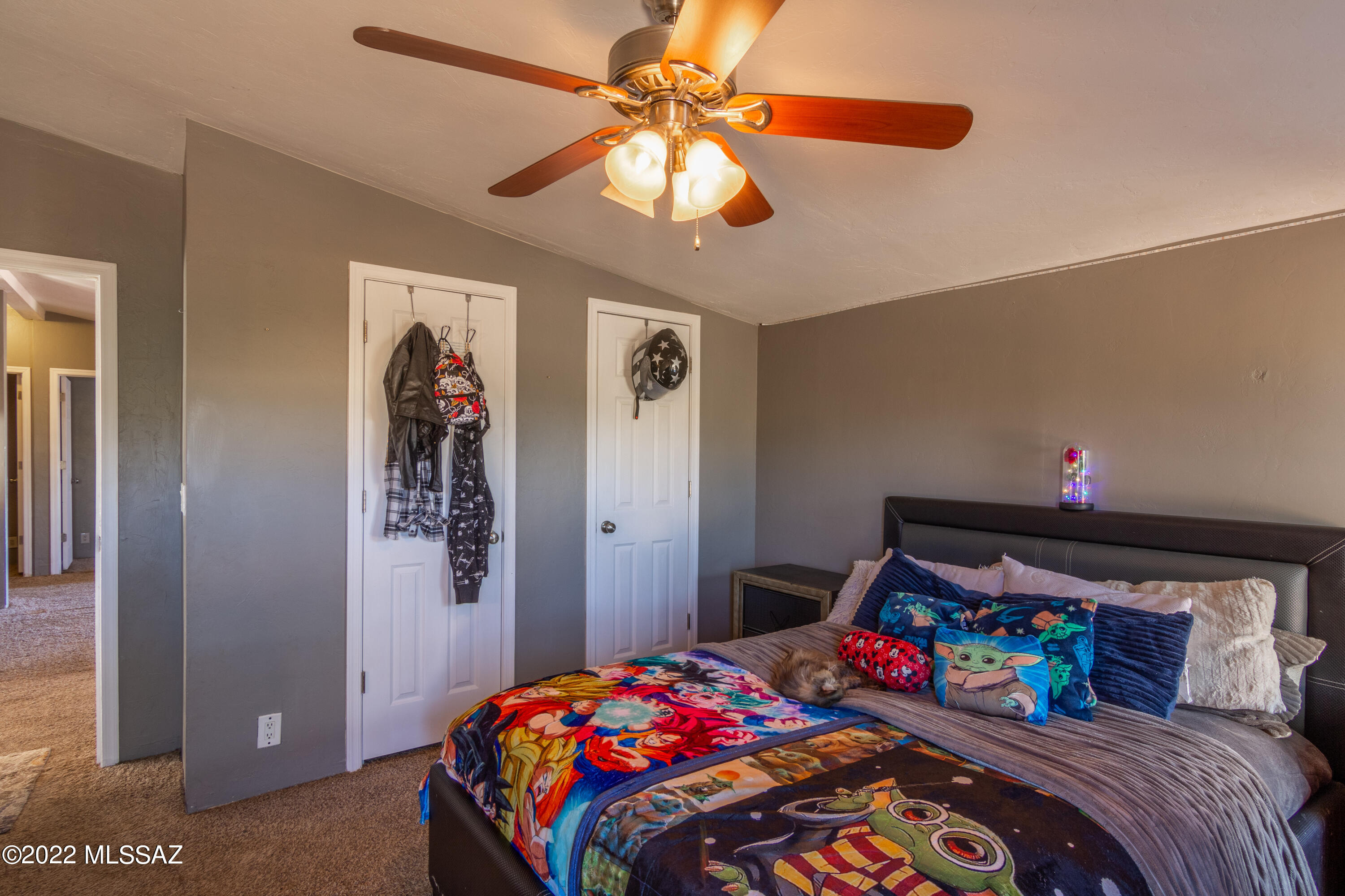 12491 West Picture Rocks Road Tucson, AZ 85743 - Photo 10 of 40 Gallery Image 10