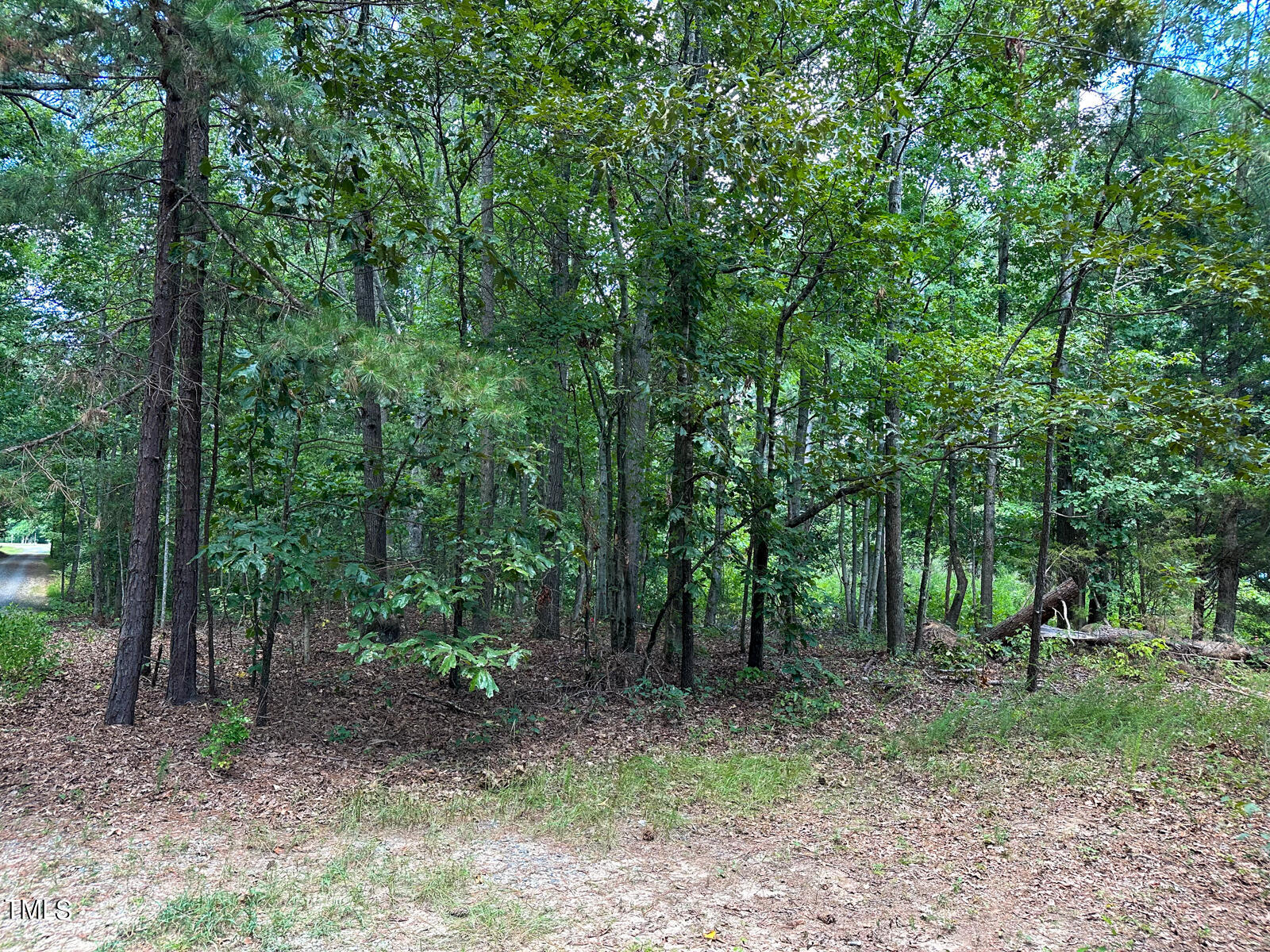 0 Sonny Dawes Road Semora, NC 27343 - Photo 13 of 19 13 (2)