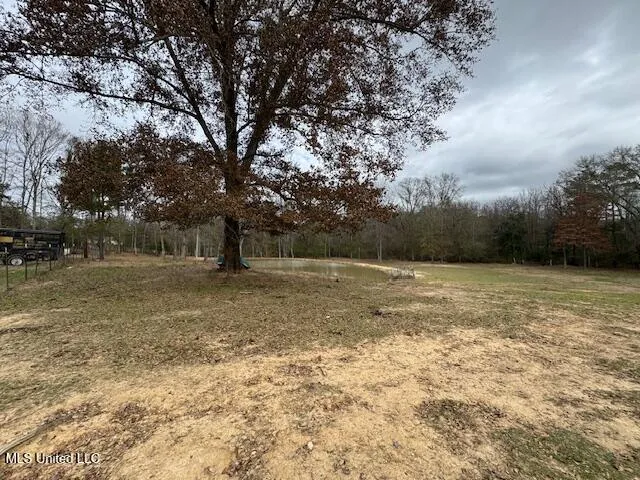 $300,000 | 401 Carpenter Street, Utica, MS 39175