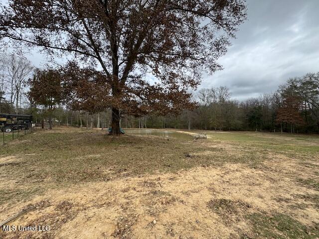 401 Carpenter Street Utica, MS 39175 - Photo 39 of 58 IMG_9943