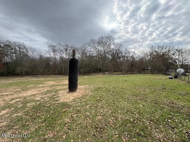 $300,000 | 401 Carpenter Street, Utica, MS 39175