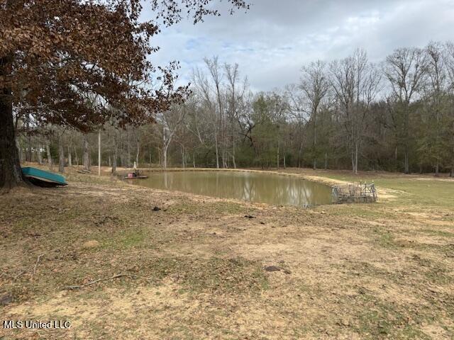 401 Carpenter Street Utica, MS 39175 - Photo 41 of 58 IMG_9945