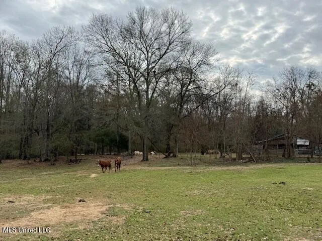 $300,000 | 401 Carpenter Street, Utica, MS 39175