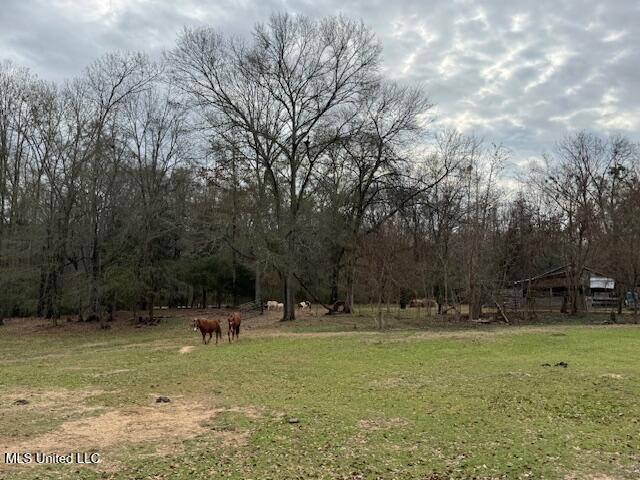 401 Carpenter Street Utica, MS 39175 - Photo 42 of 58 IMG_9946