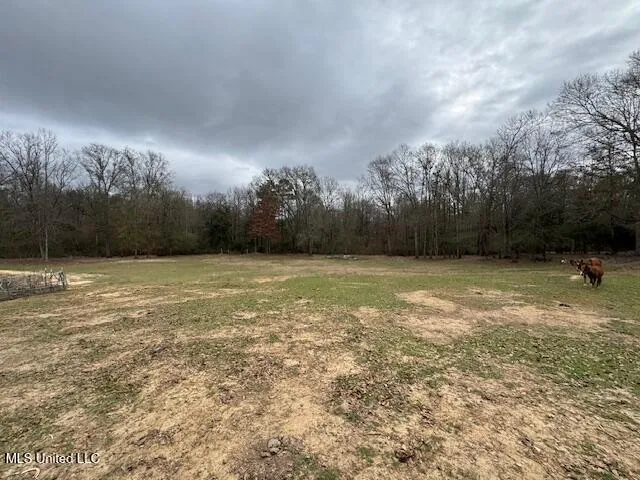 $300,000 | 401 Carpenter Street, Utica, MS 39175