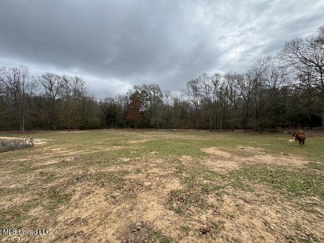 401 Carpenter Street Utica, MS 39175 - Photo 43 of 58 IMG_9947