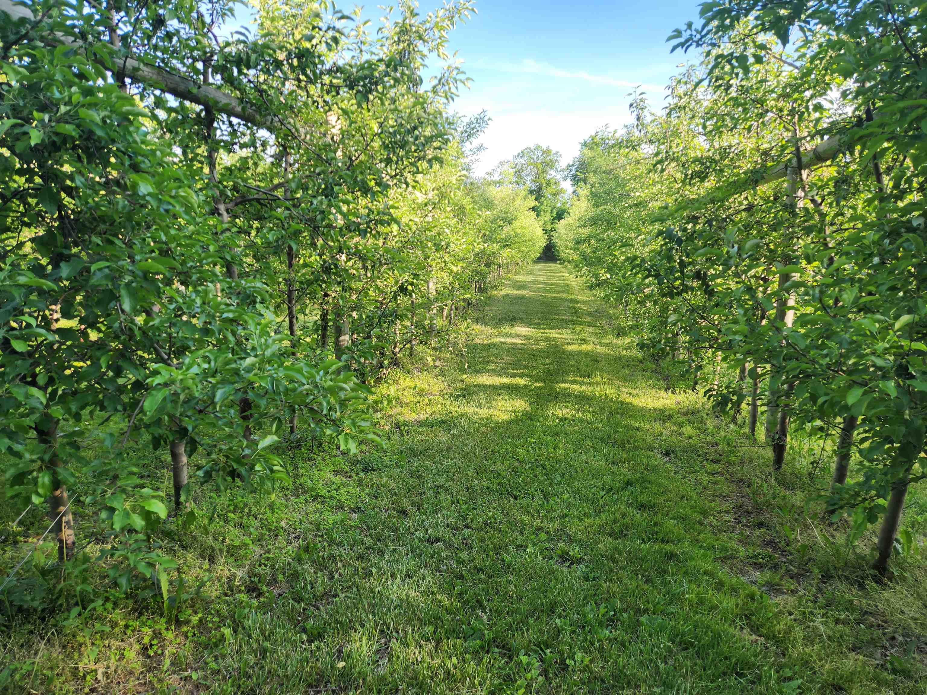 16318 County Rd V Hillsboro, WI 54634 - Photo 3 of 8