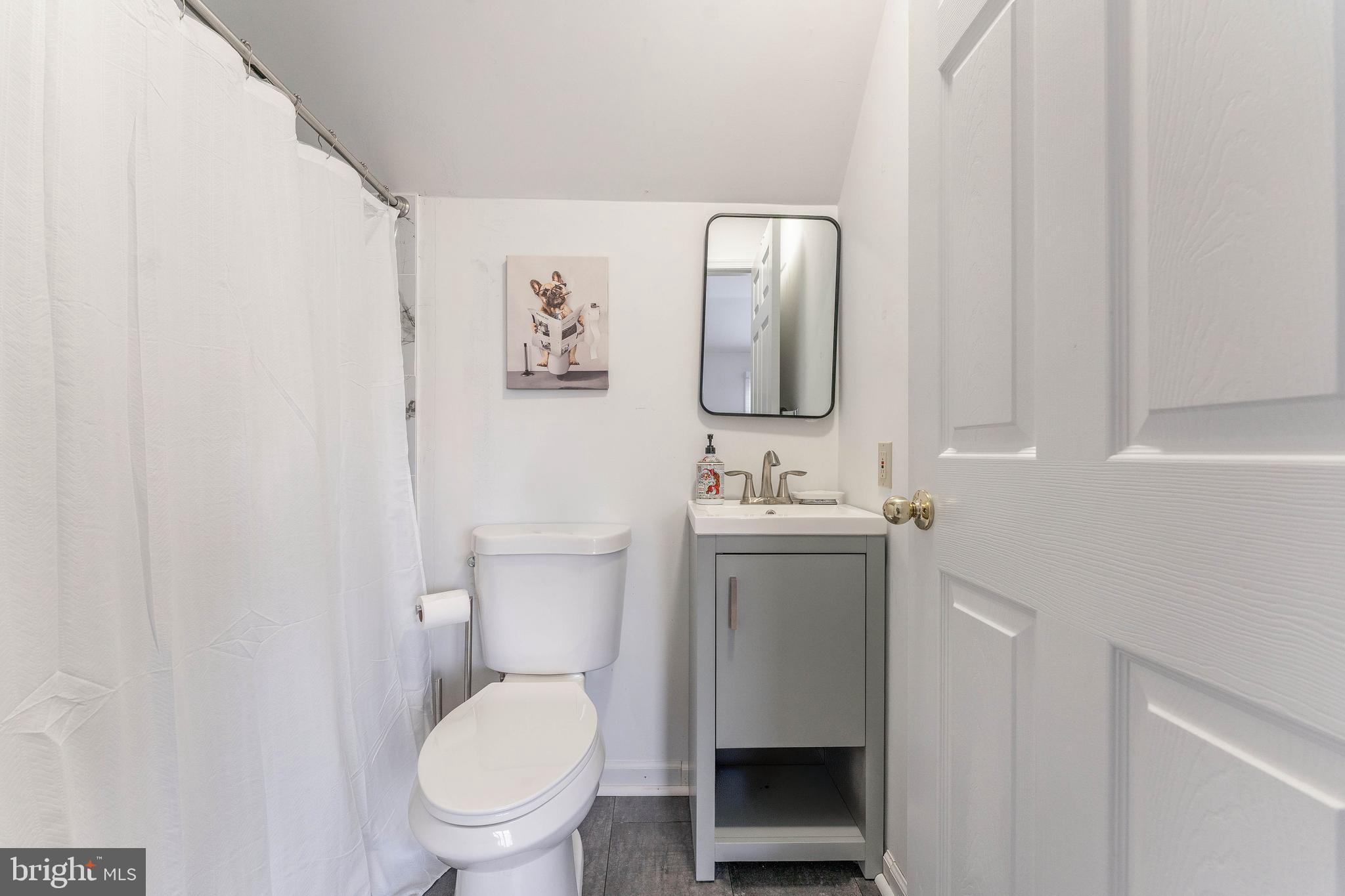 8 Matthews Run Road Chester Springs, PA 19425 - Photo 37 of 80 a bathroom with a toilet a sink and mirror