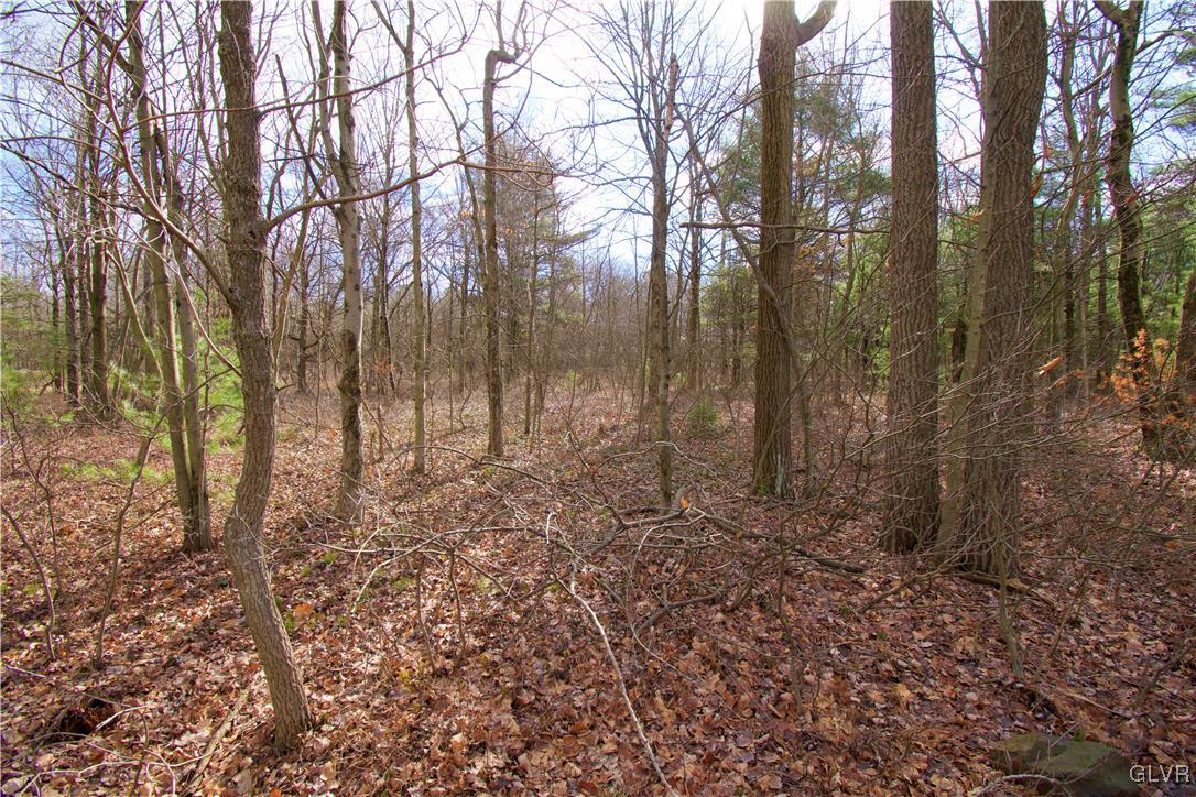 Cold Spring Drive Jim Thorpe, PA 18229 - Photo 2 of 4