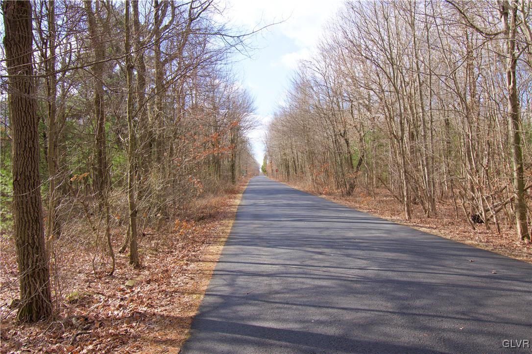 Cold Spring Drive Jim Thorpe, PA 18229 - Photo 3 of 4