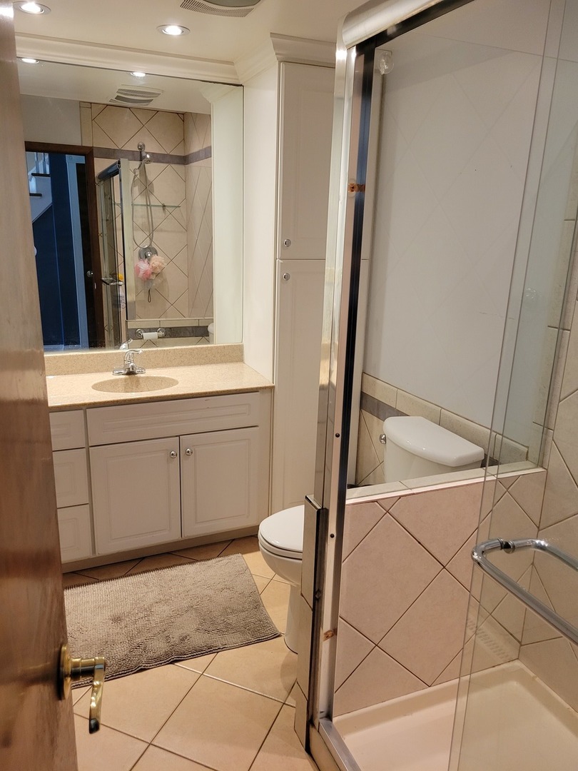 1322 Elder Road Homewood, IL 60430 - Photo 17 of 27 a bathroom with a sink a toilet and a mirror