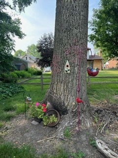 1322 Elder Road Homewood, IL 60430 - Photo 8 of 27 a view of a wooden house with a yard and potted plants