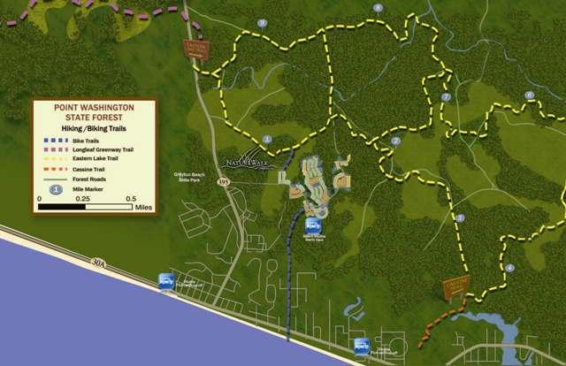33 Flatwoods Forest Loop Santa Rosa Beach, FL 32459 - Photo 12 of 12
