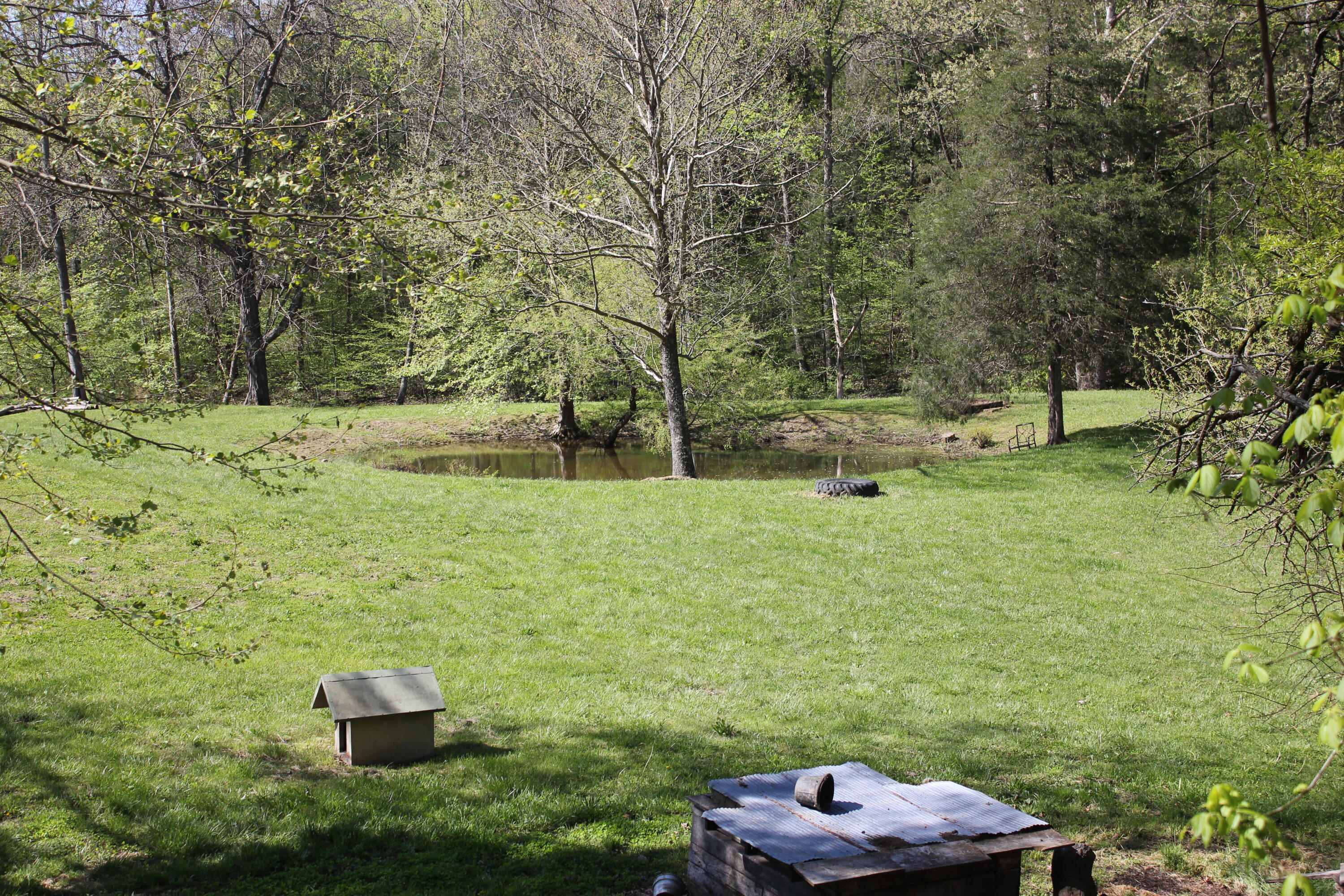 1339 Red Lick Road Berea, KY 40403 - Photo 13 of 40 IMG_0944