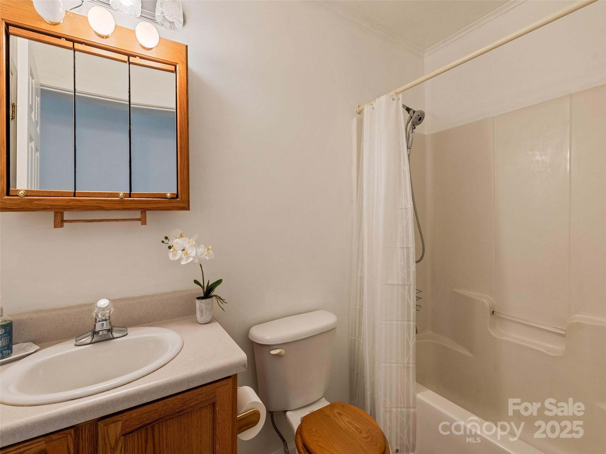 2884 Thickety Road Clyde, NC 28721 - Photo 19 of 20 a bathroom with a sink a toilet and shower