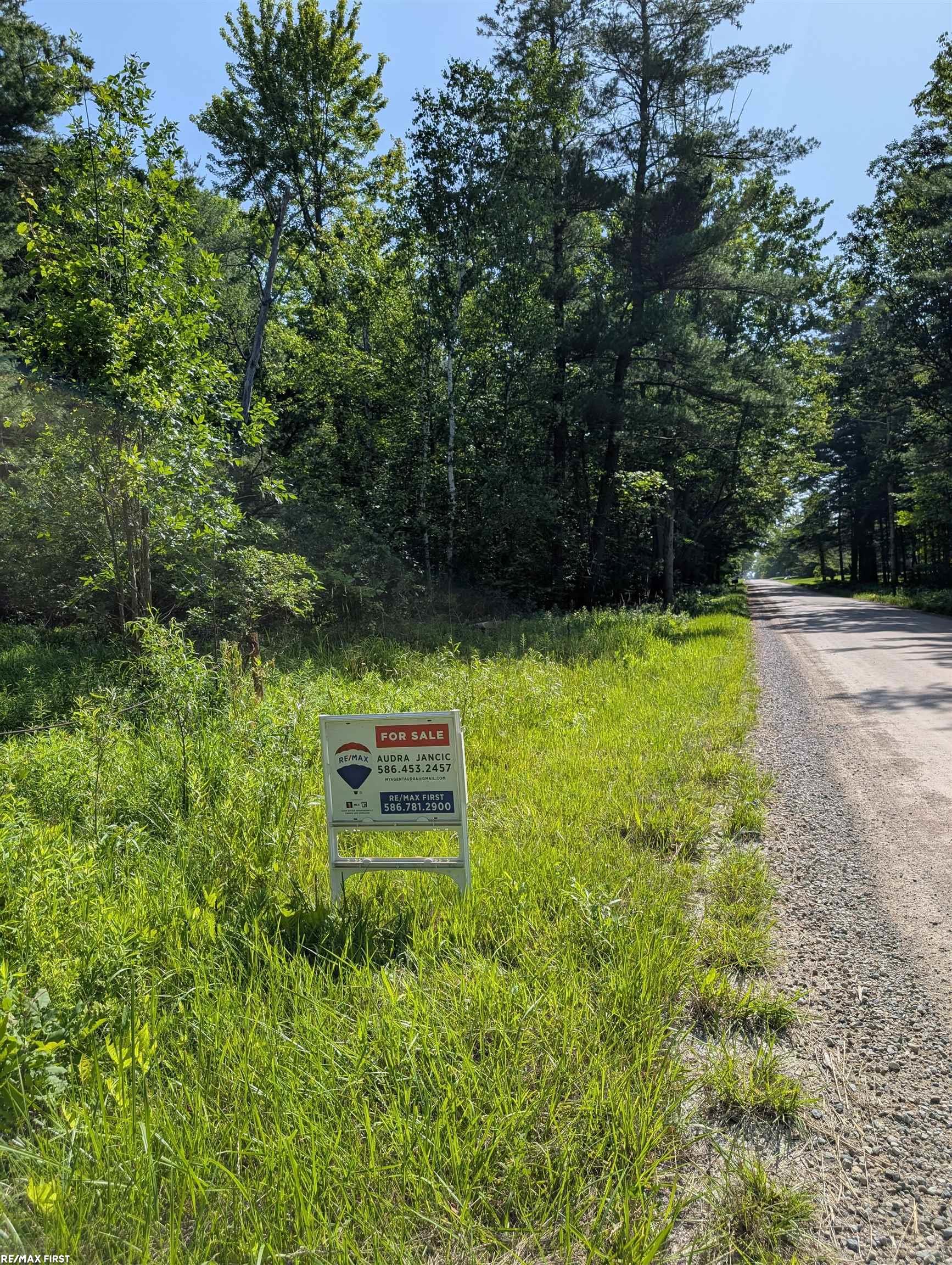 0 Burns Line Road Croswell, MI 48422 - Photo 5 of 5