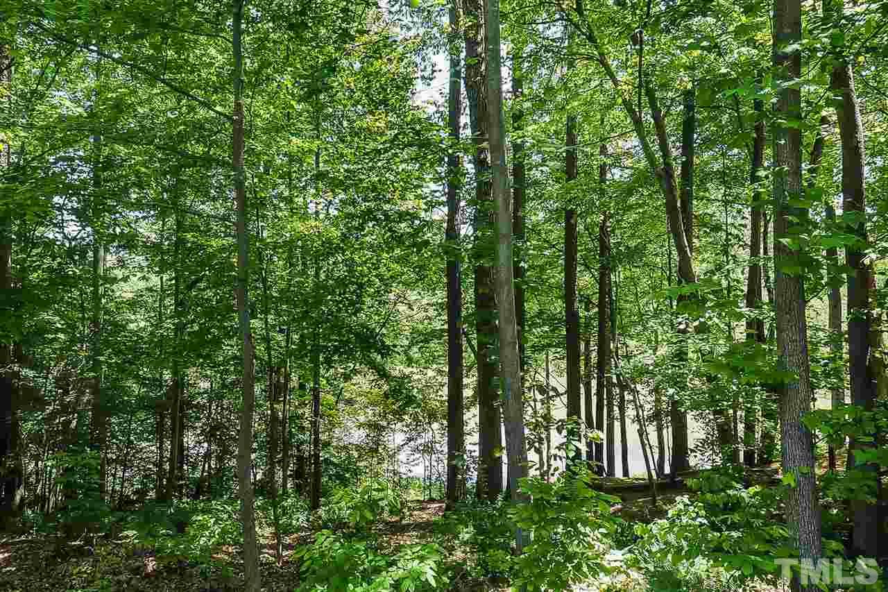 3309 Byers Drive Raleigh, NC 27607 - Photo 24 of 25 View from deck of woods and Reedy Creek Lake.