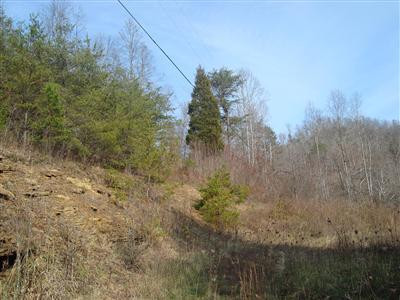 0 Mahaffey Holw Road Livingston, KY 40445 - Photo 4 of 8 Photo 4