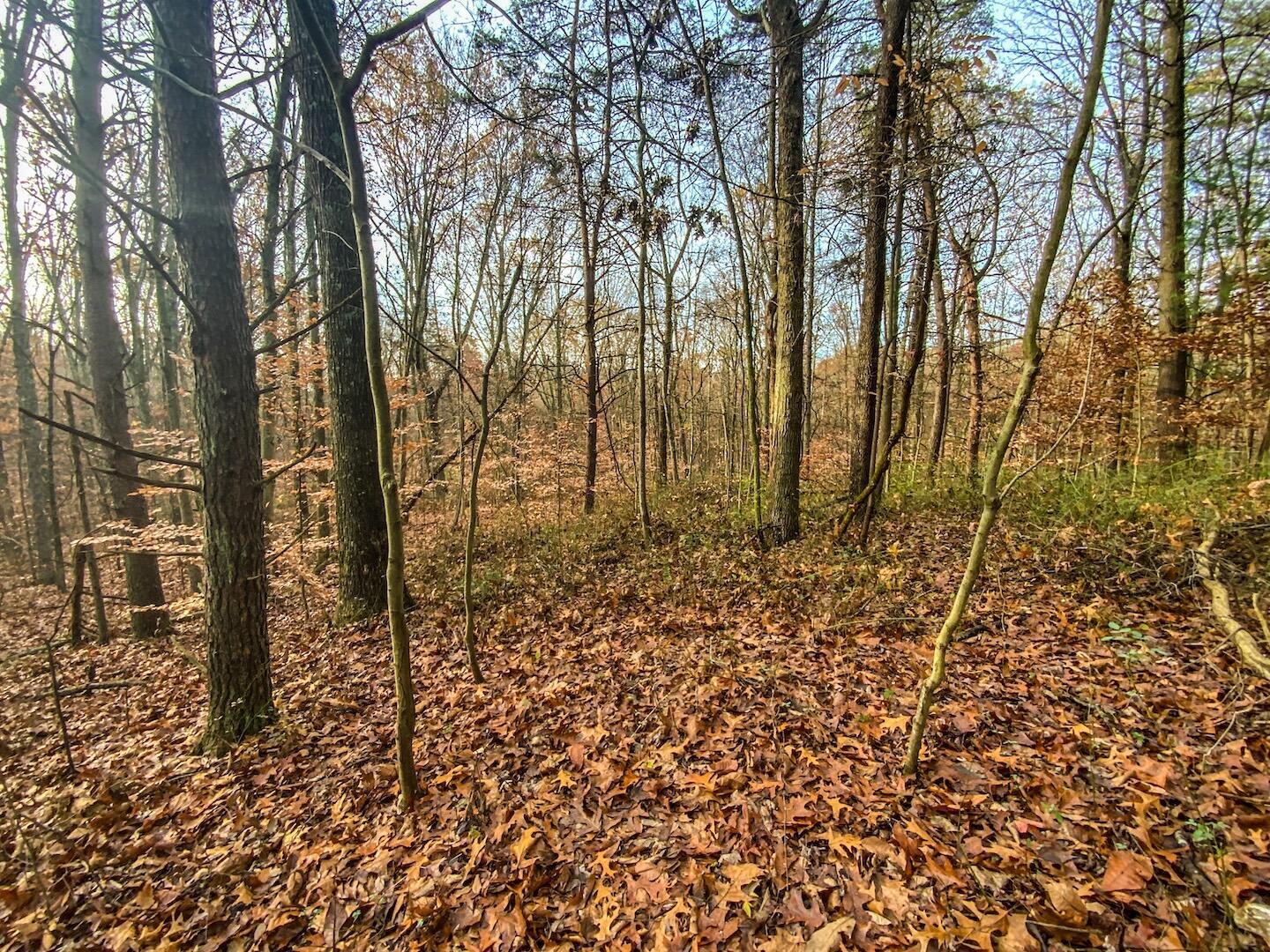 20088 Rauber Road Logan, OH 43138 - Photo 7 of 31 47