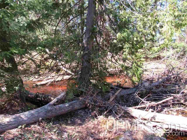 Tbd Off Rice Lake Road, Unit NO DRIVE BYS Lake Linden, MI 49945 - Photo 37 of 40