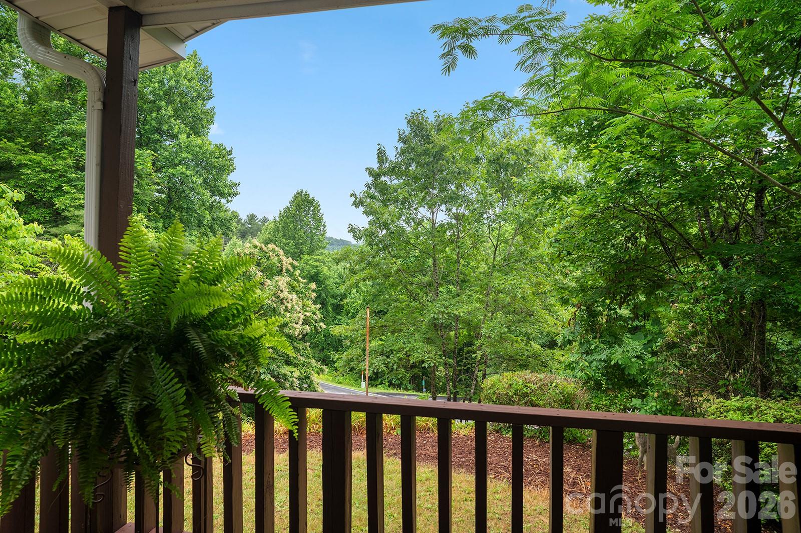 825 Gallimore Road Flat Rock, NC 28731 - Photo 17 of 41