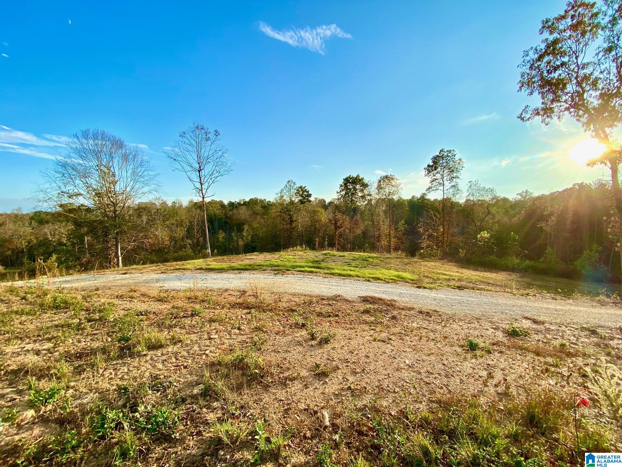 325 County Road 13 Heflin, AL 36264 - Photo 2 of 56
