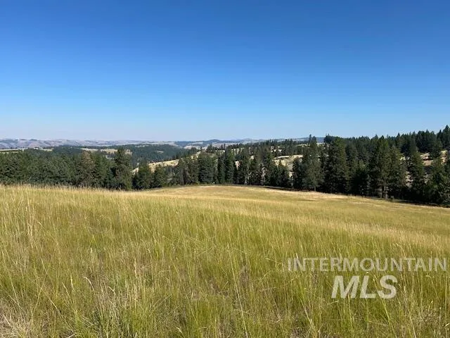 $159,500 | 13 Red Fir Road, Kooskia, ID 83539