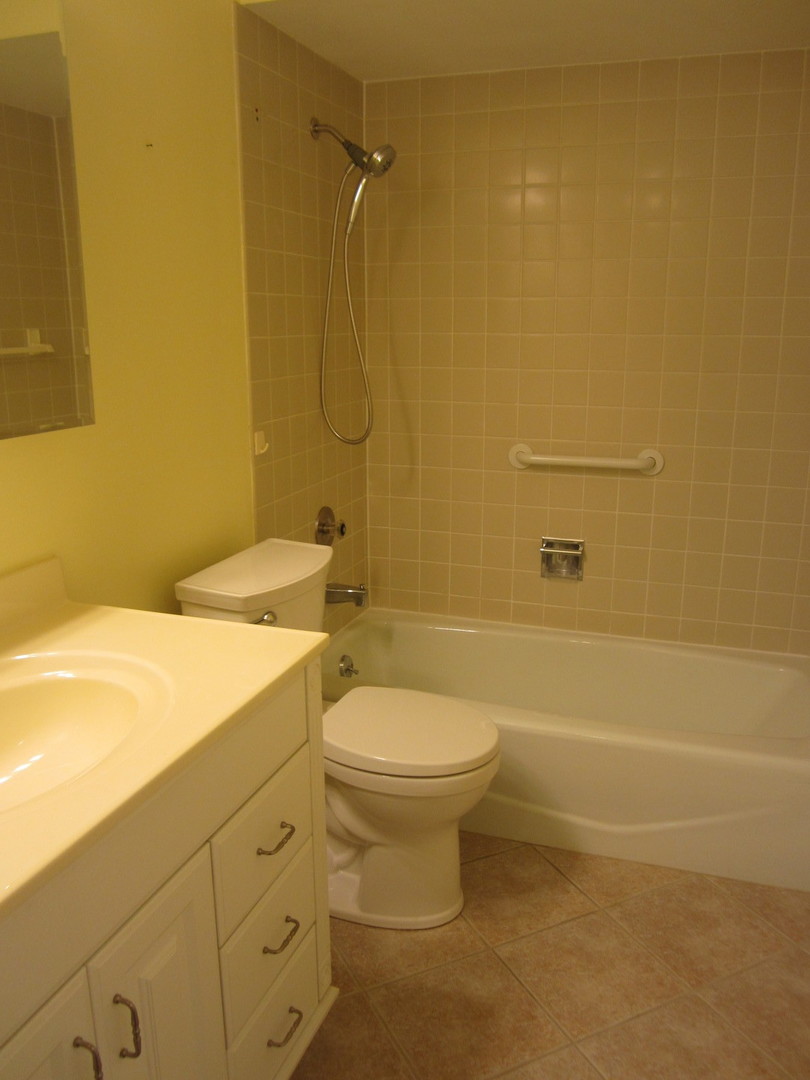 15 Bar Harbour Road, Unit 4G Schaumburg, IL 60193 - Photo 18 of 21 a bathroom with a sink a toilet and shower