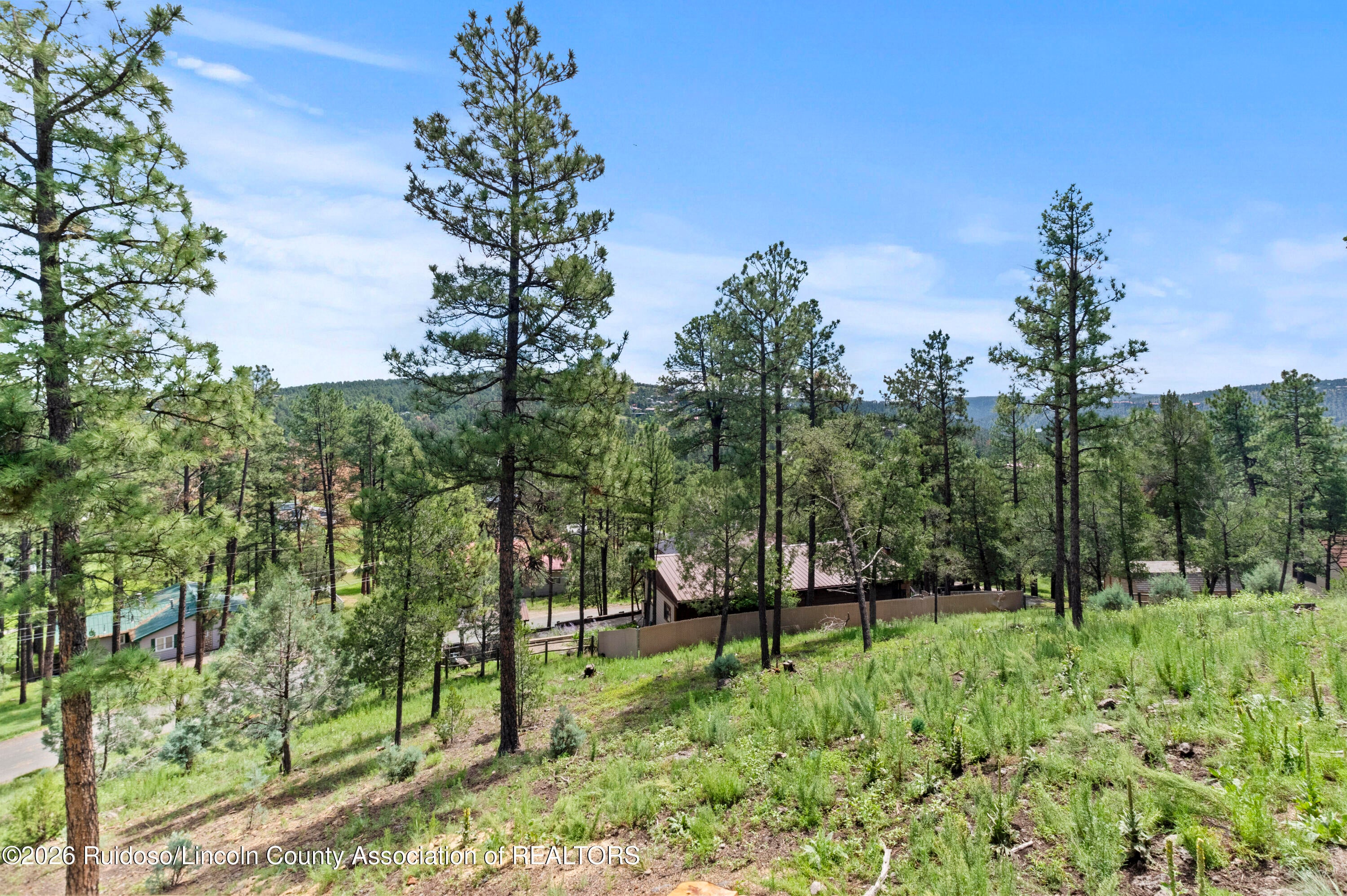 105 Nob Drive Ruidoso, NM 88345 - Photo 63 of 71 Gallery Image 63