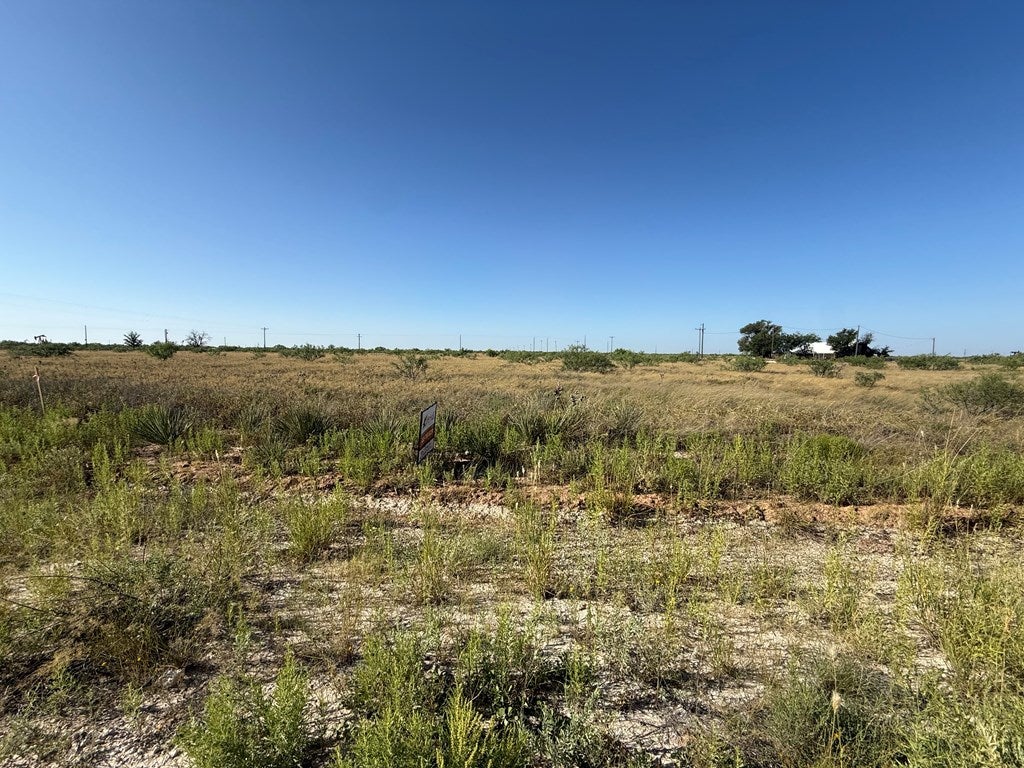 Lot 105 County Road Seminole, TX 79360 - Photo 2 of 3 Gallery Image 2