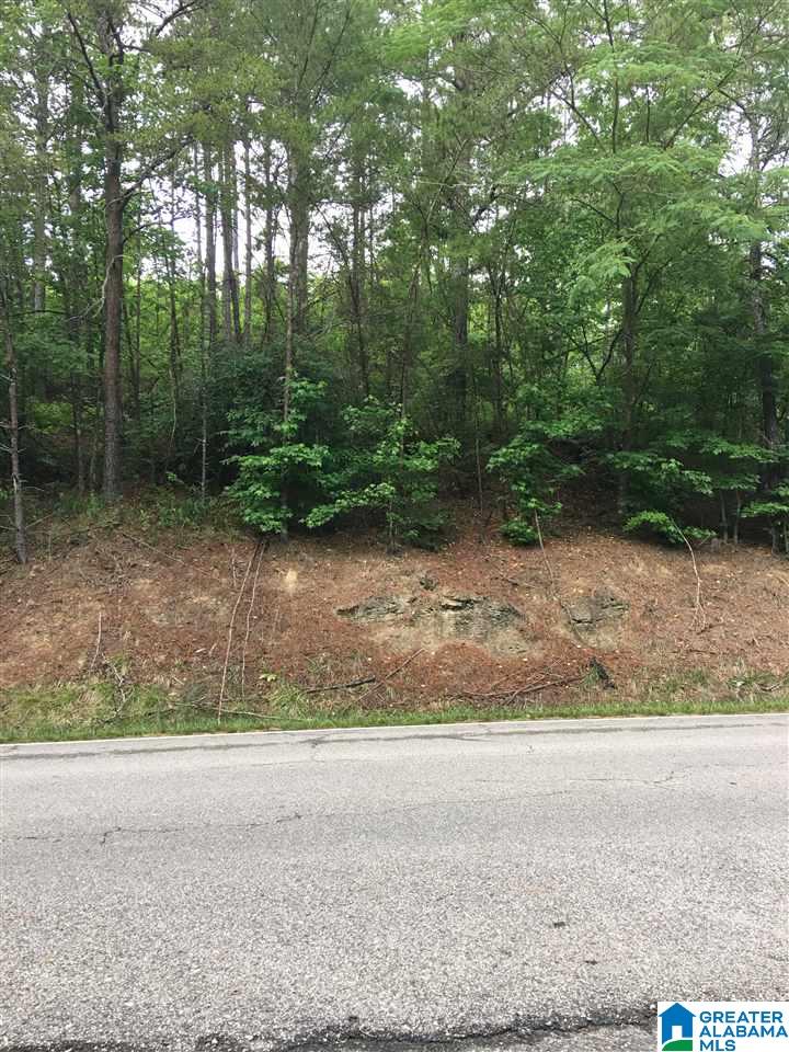 1770 Warrior Trafford Road Warrior, AL 35180 - Photo 2 of 3