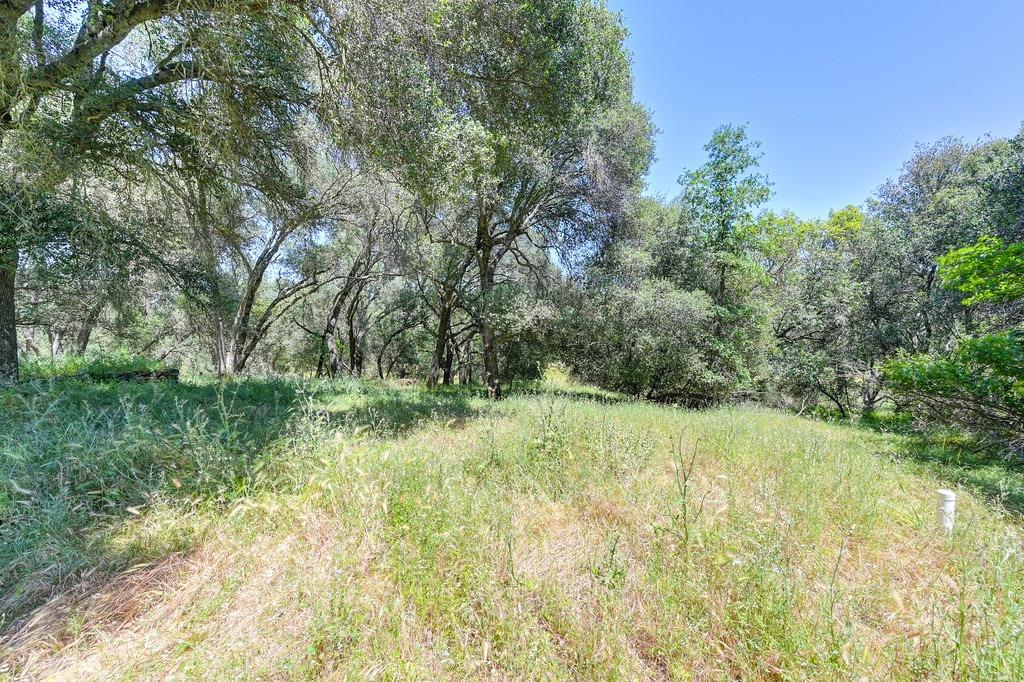 9 North Shingle Road Shingle Springs, CA 95682 - Photo 1 of 1 a view of outdoor space and yard