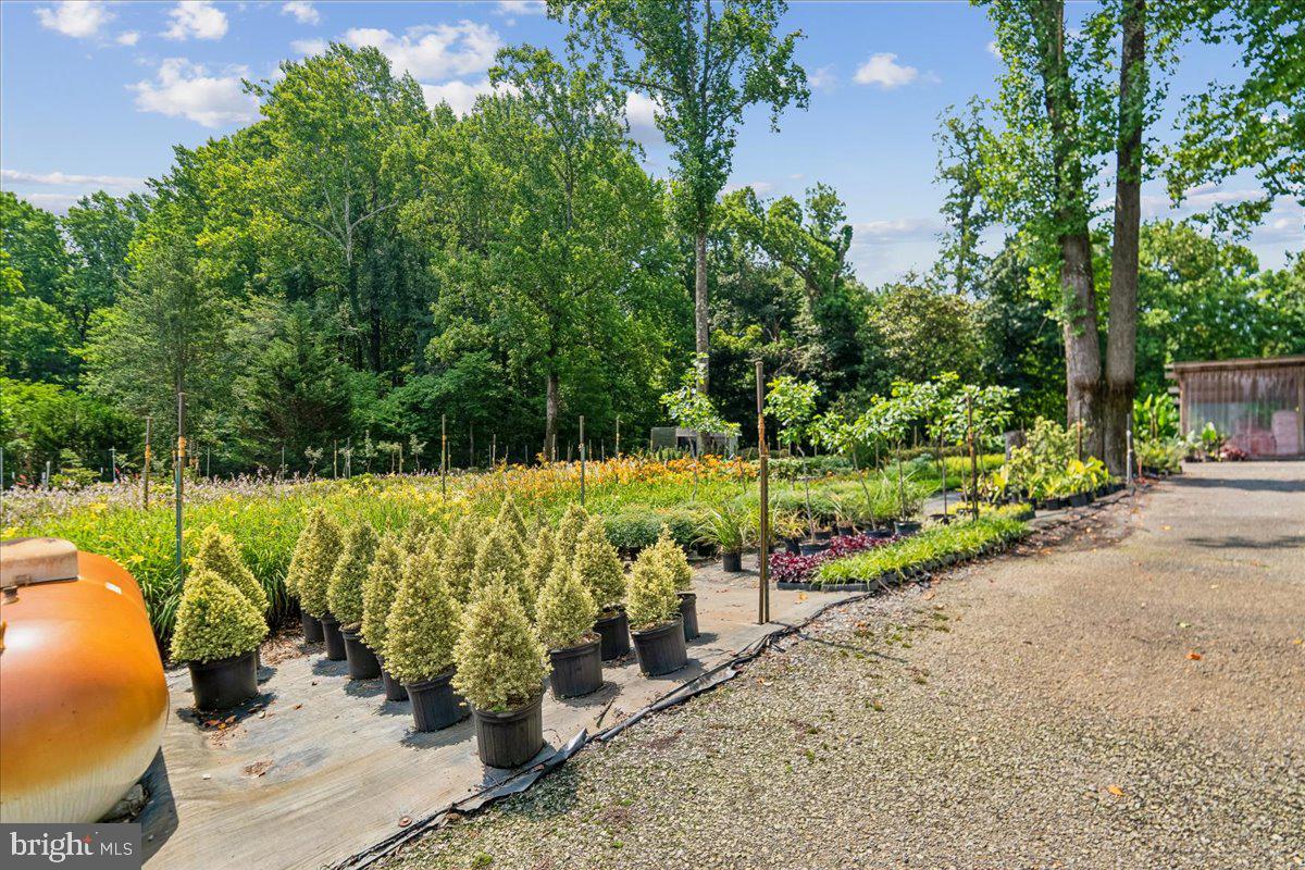 Old Mitchellville Road Bowie, MD 20716 - Photo 74 of 102 Nursery Stock field 3
