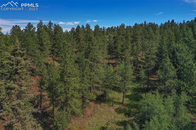 3576 Pathfinder Road Florissant, CO 80816 - Photo 38 of 44 Gallery Image 38