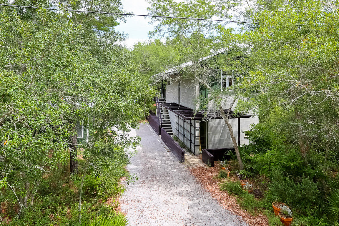 155 South Camp Creek Rd Inlet Beach Inlet Beach, FL 32461 - Photo 34 of 43 a view of a pathway in a backyard