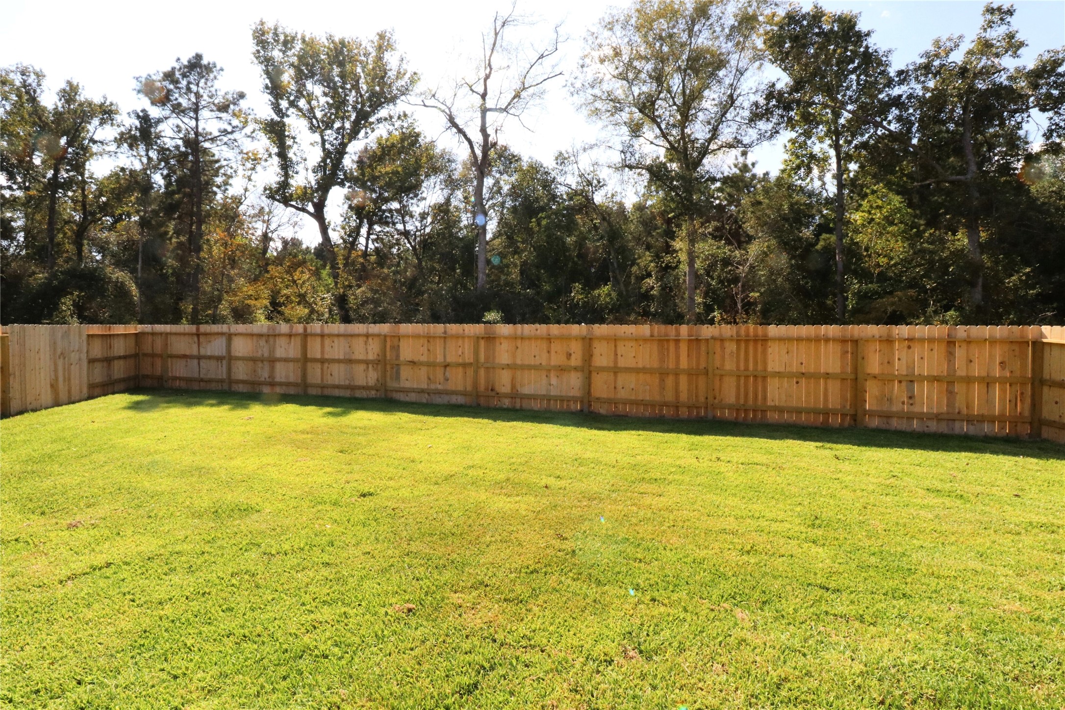20805 Le Scifo Court New Caney, TX 77357 - Photo 20 of 20 a view of a swimming pool