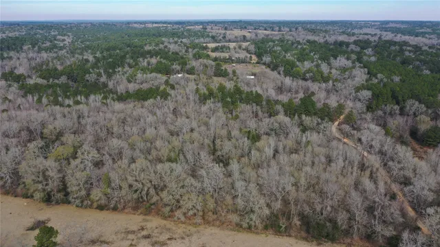 a view of a big yard with lots of trees