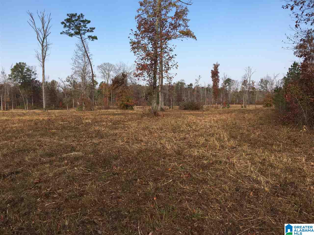 0 Wooden Trace Circle, Unit 30 Springville, AL 35146 - Photo 5 of 25