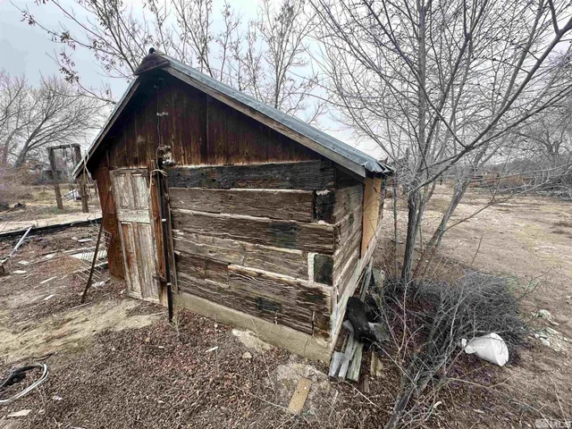 a view of a yard with a tree