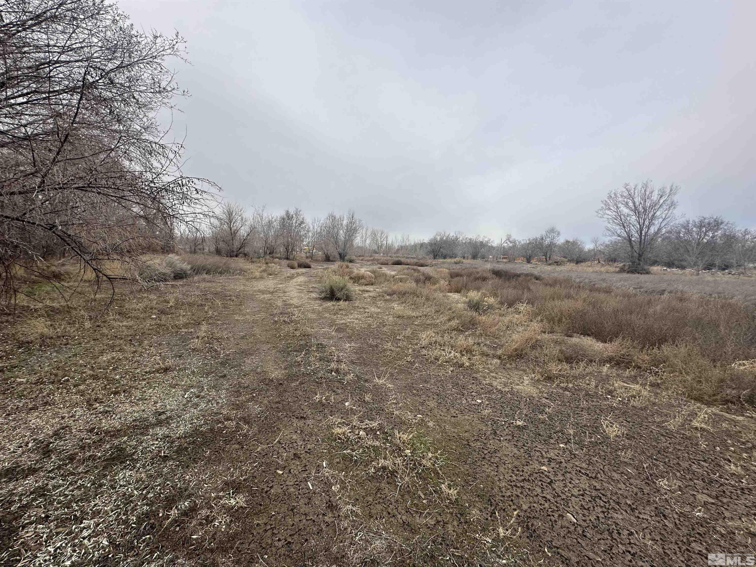 3275 Alcorn Road Fallon, NV 89406 - Photo 19 of 33 a view of an outdoor space and covered by trees