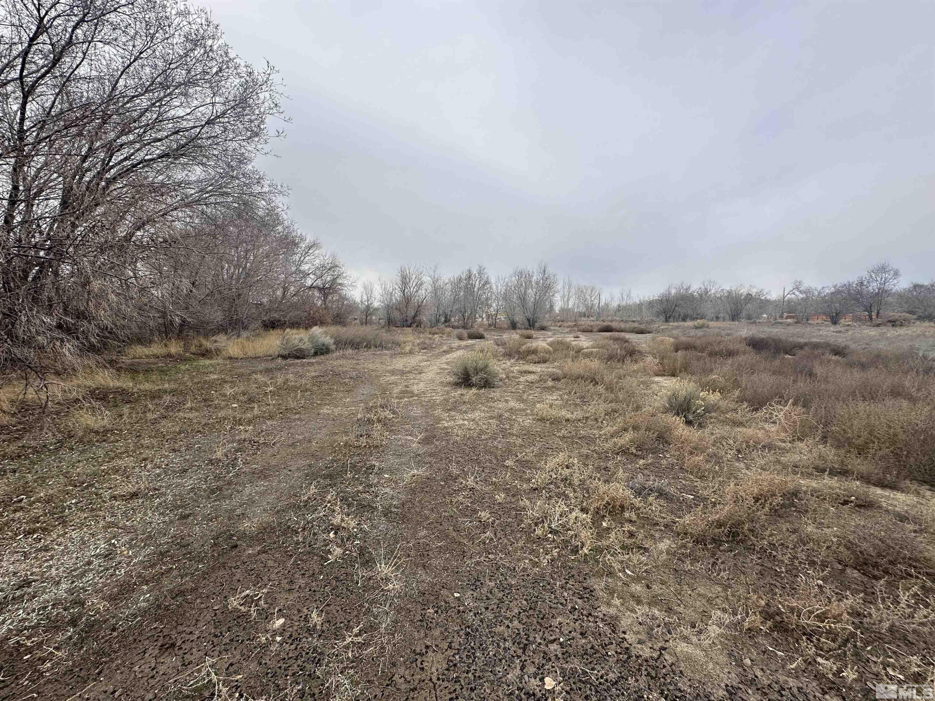 3275 Alcorn Road Fallon, NV 89406 - Photo 20 of 33 a view of dirt field and trees