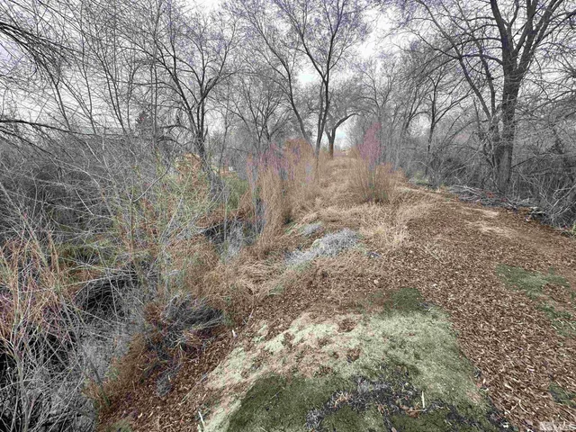 a view of a yard in front of a house