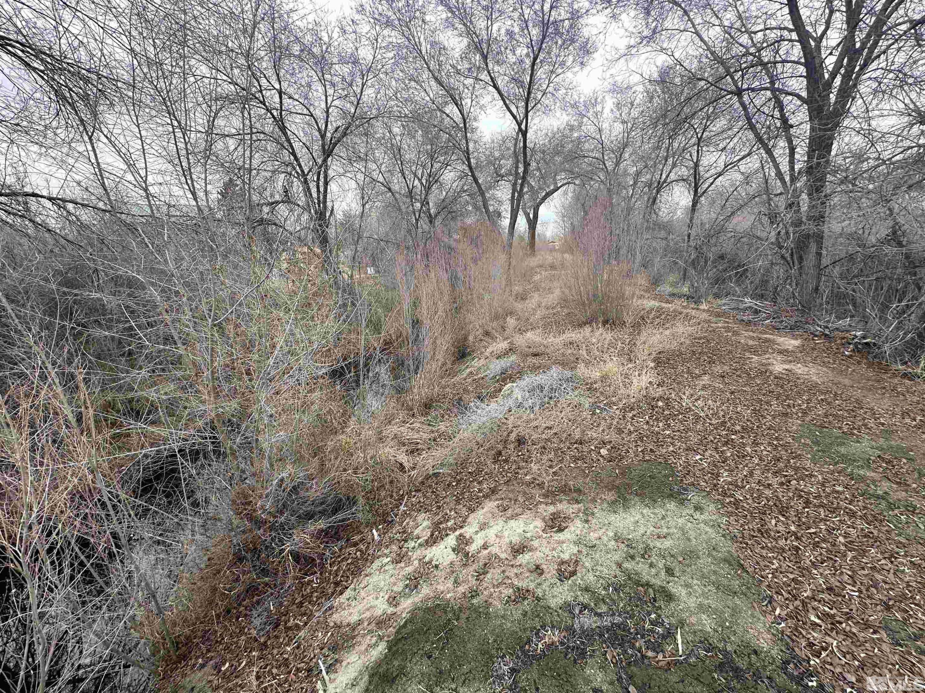 3275 Alcorn Road Fallon, NV 89406 - Photo 22 of 33 a view of a yard with trees
