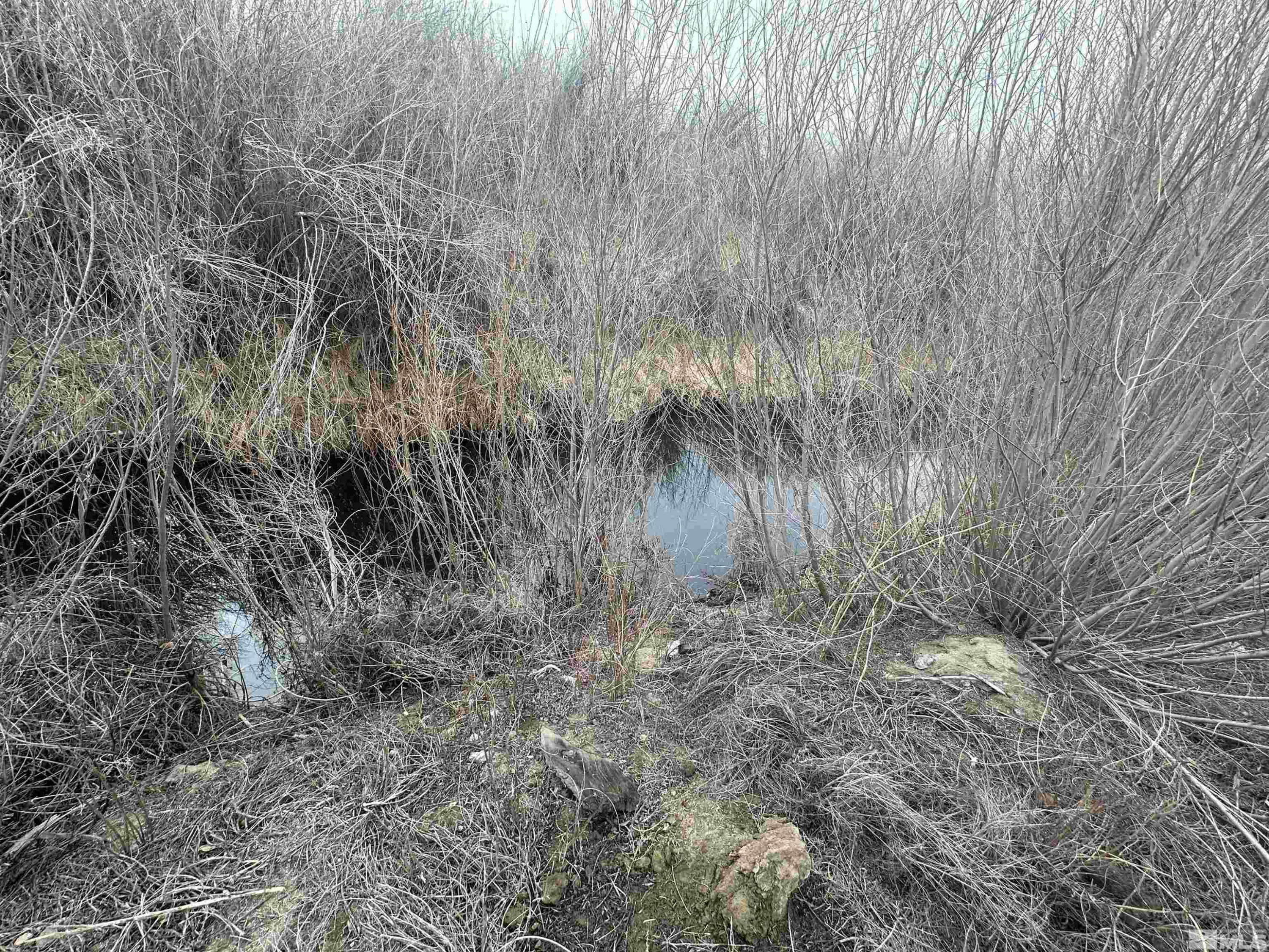 3275 Alcorn Road Fallon, NV 89406 - Photo 23 of 33 a view of a dry yard with trees