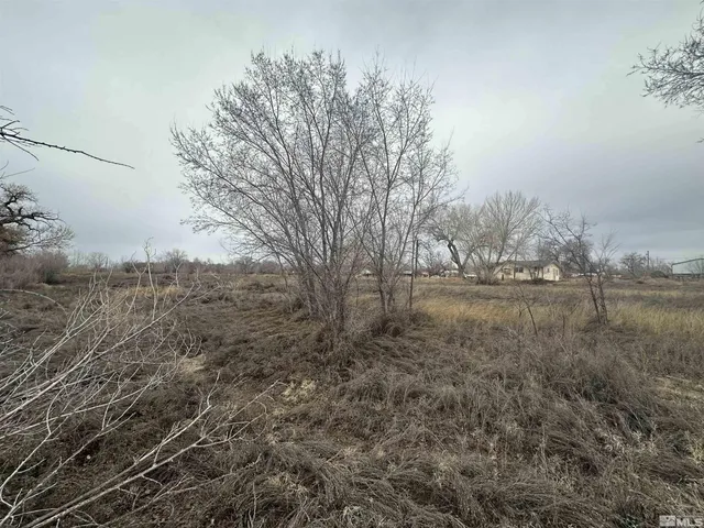 a view of a town with mountains in the background